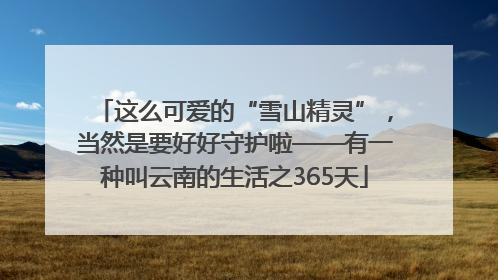 这么可爱的“雪山精灵”，当然是要好好守护啦——有一种叫云南的生活之365天
